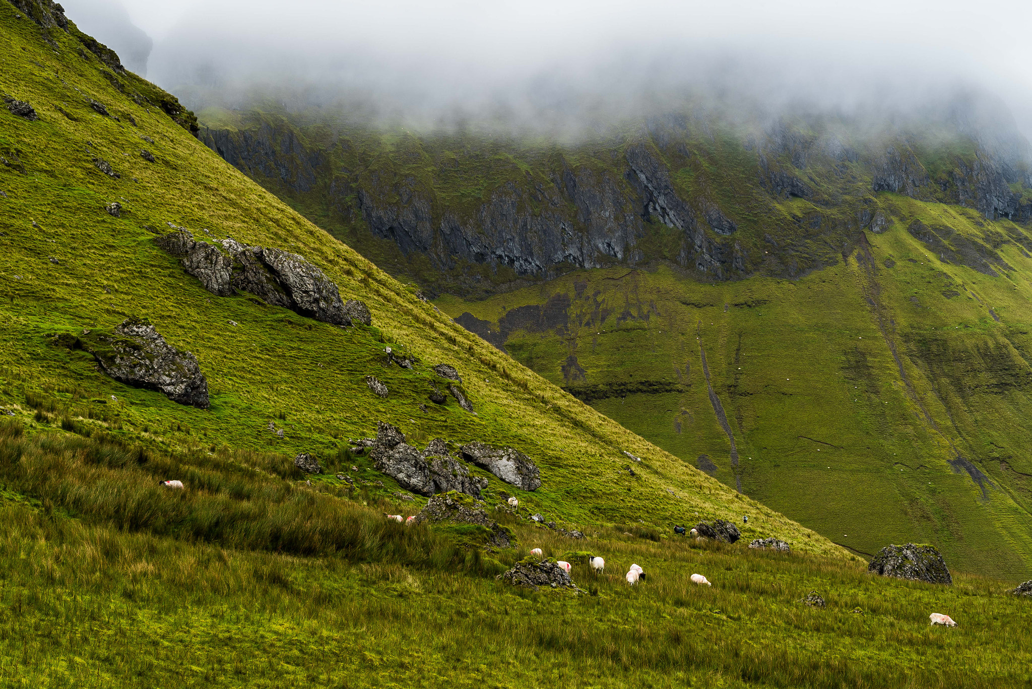 Nikon D750 + Sigma 24-70mm F2.8 EX DG Macro sample photo. The glenliff horseshoe, co. sligo, ireland. photography