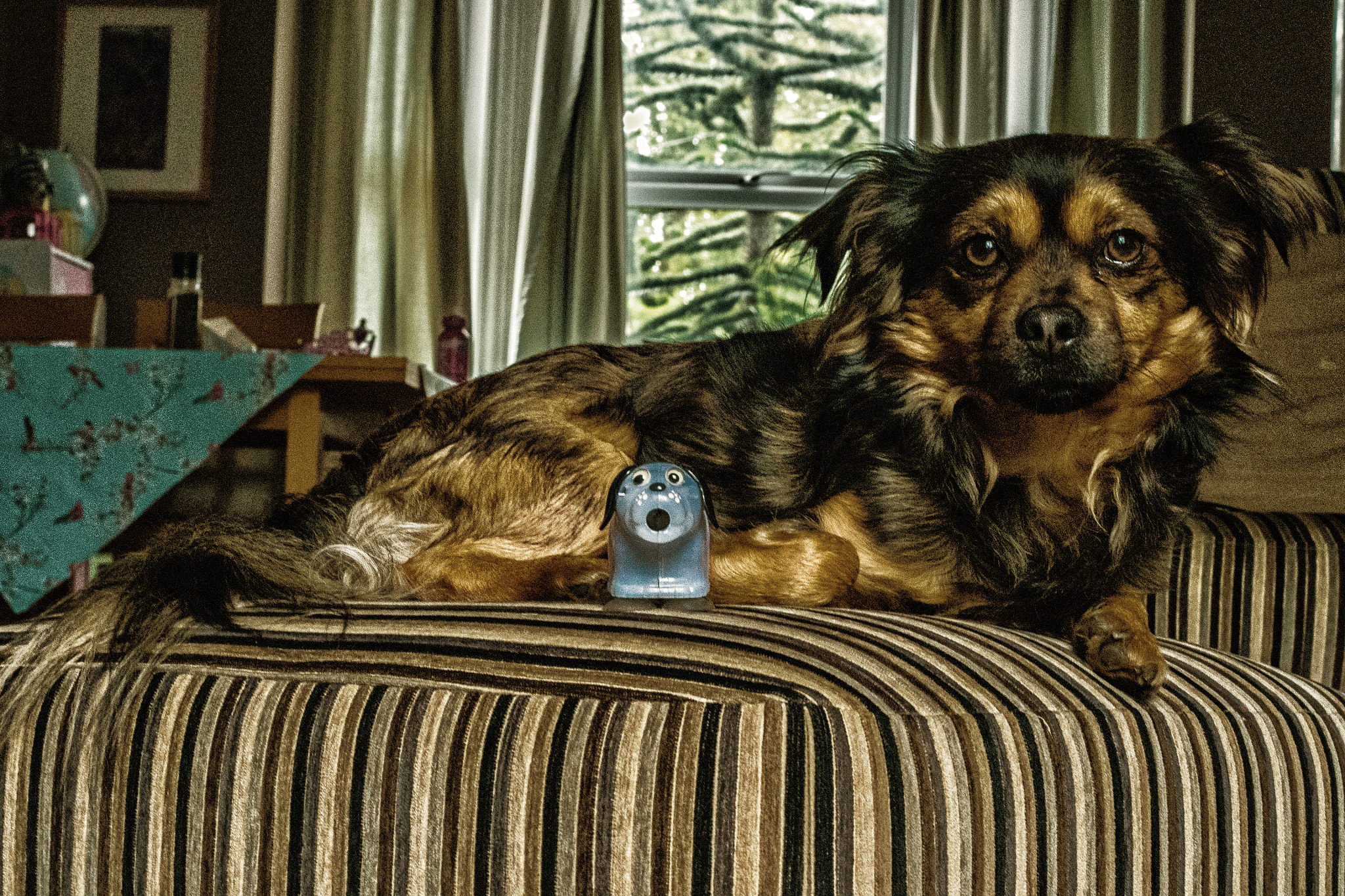 Samsung NX 30mm F2 Pancake sample photo