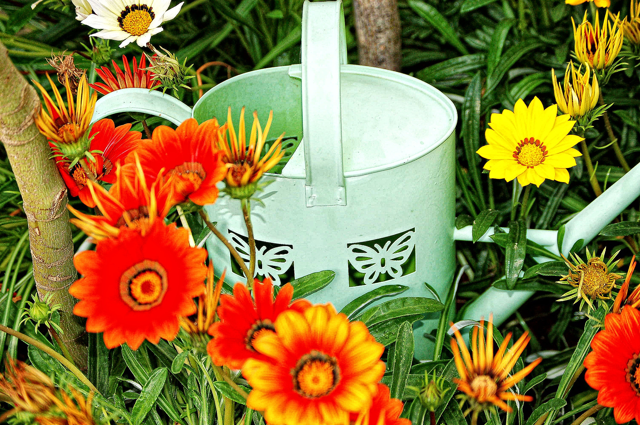Nikon D50 sample photo. Dsc photography
