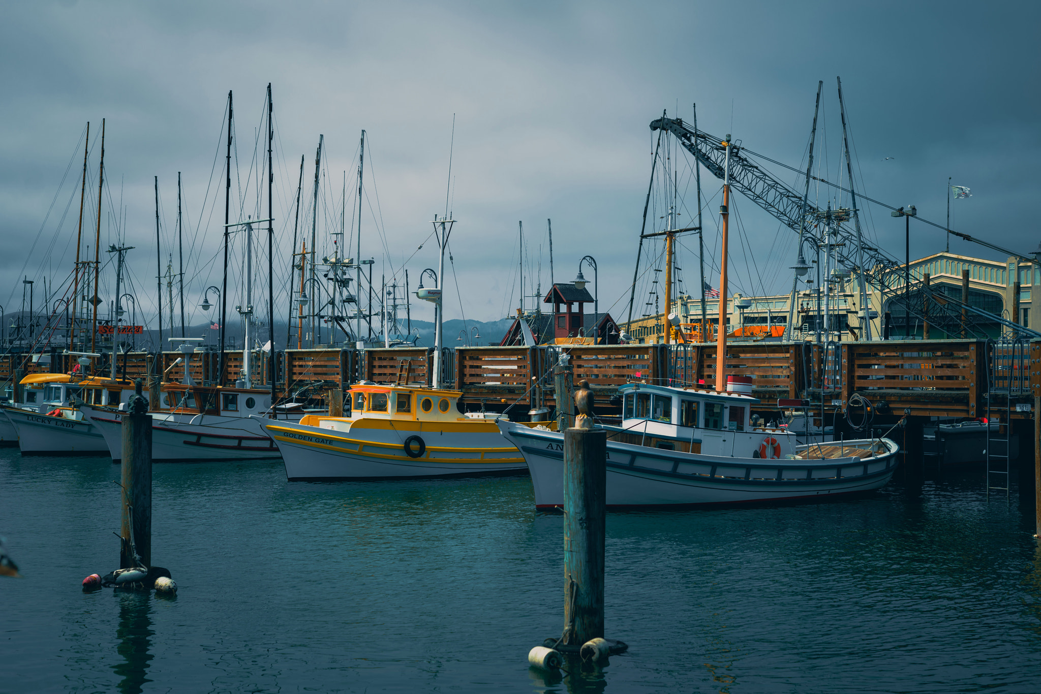 Sony a7R II + Canon 50mm F1.4 DG HSM | Art 014 sample photo. ✪fsiherman wharf✪ photography