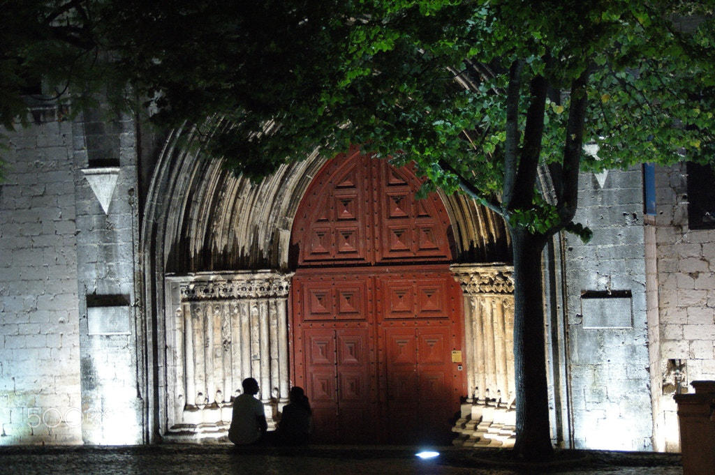Sony DT 18-200mm F3.5-6.3 sample photo. Wispers in the dark photography