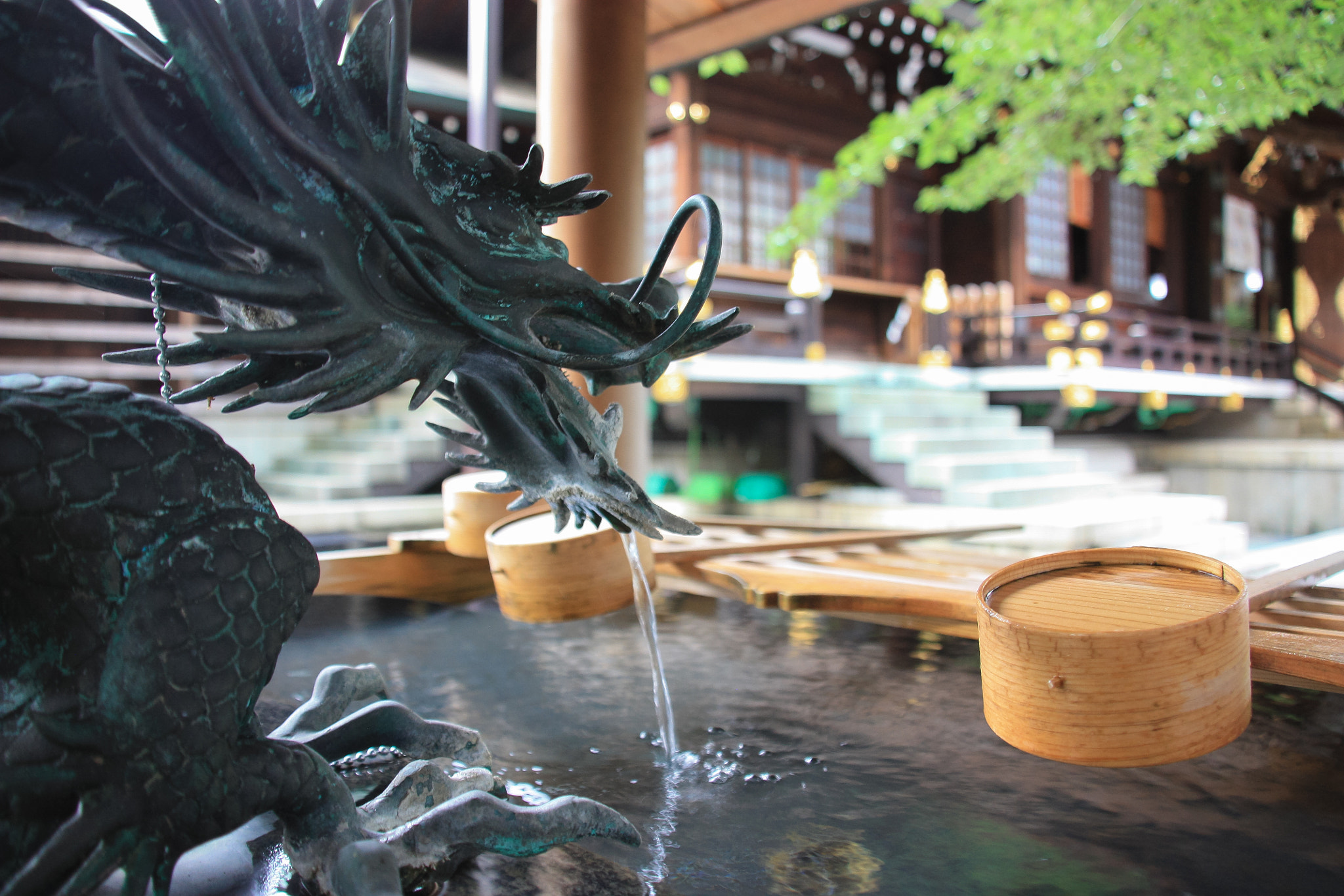 Sigma 18-200mm f/3.5-6.3 DC OS sample photo. Tokyo dragon photography