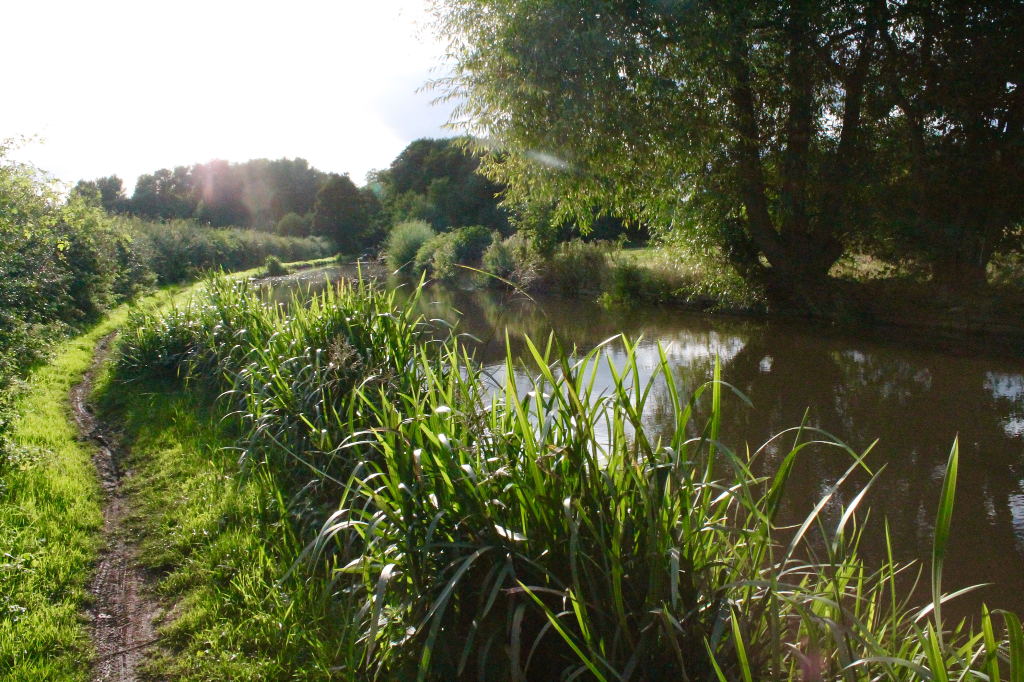 Canon EF-S 18-55mm F3.5-5.6 III sample photo. Towpath at sundown photography