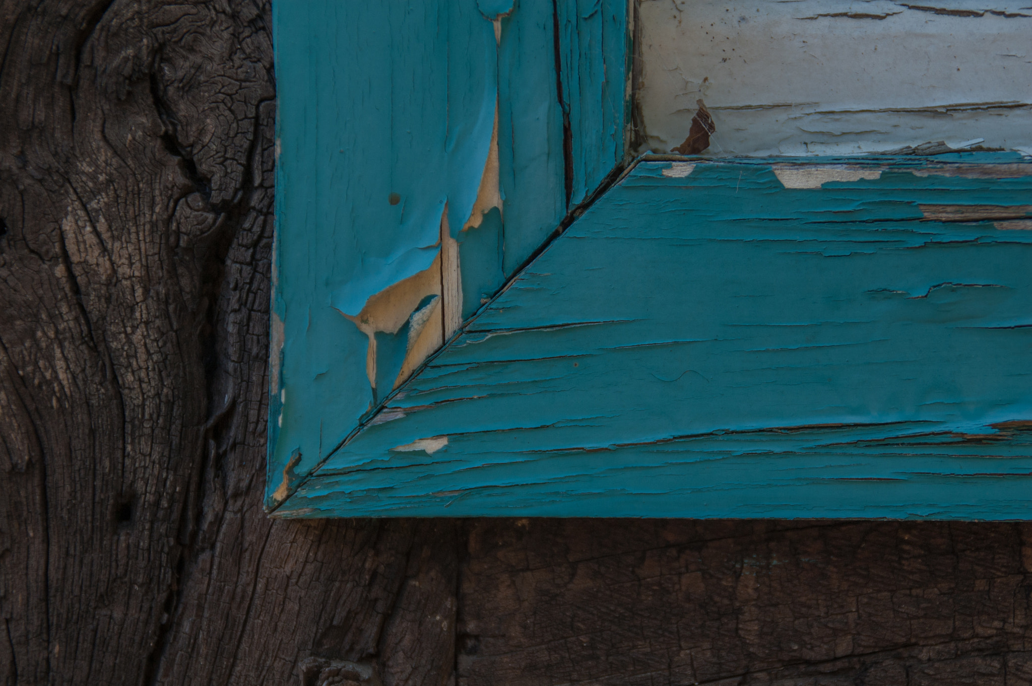 Nikon D40 sample photo. Turquoise iii photography