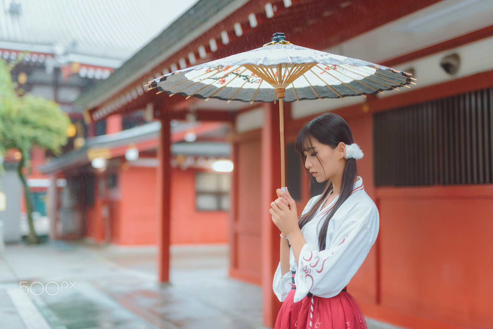 Nikon D800E sample photo. Asakusa girl photography