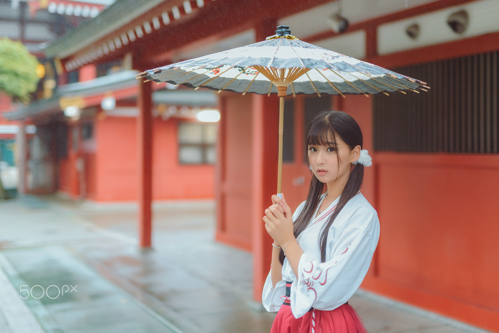 Nikon D800E sample photo. Asakusa girl photography