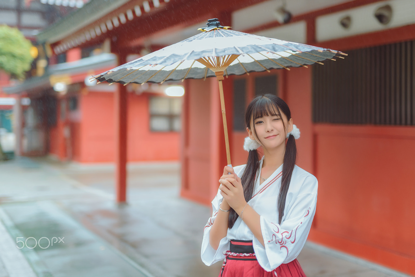 Nikon D800E + Sigma 50mm F1.4 DG HSM Art sample photo. Asakusa girl photography