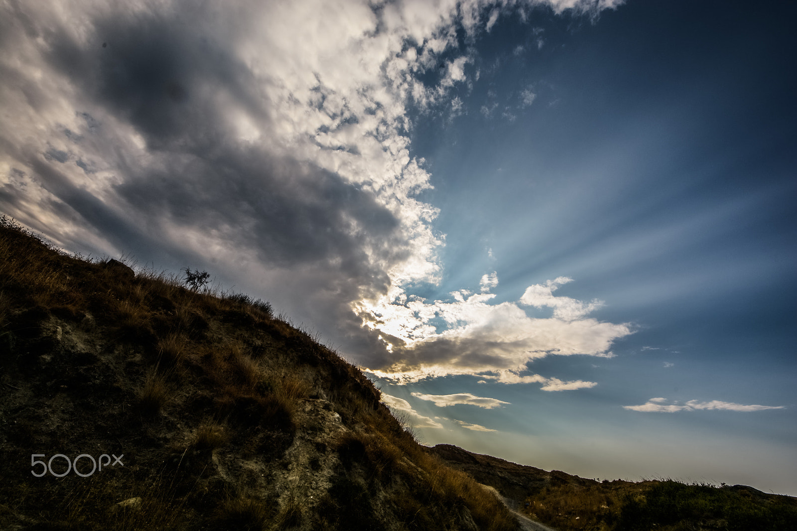 Sigma 8-16mm F4.5-5.6 DC HSM sample photo. Praise the sun photography