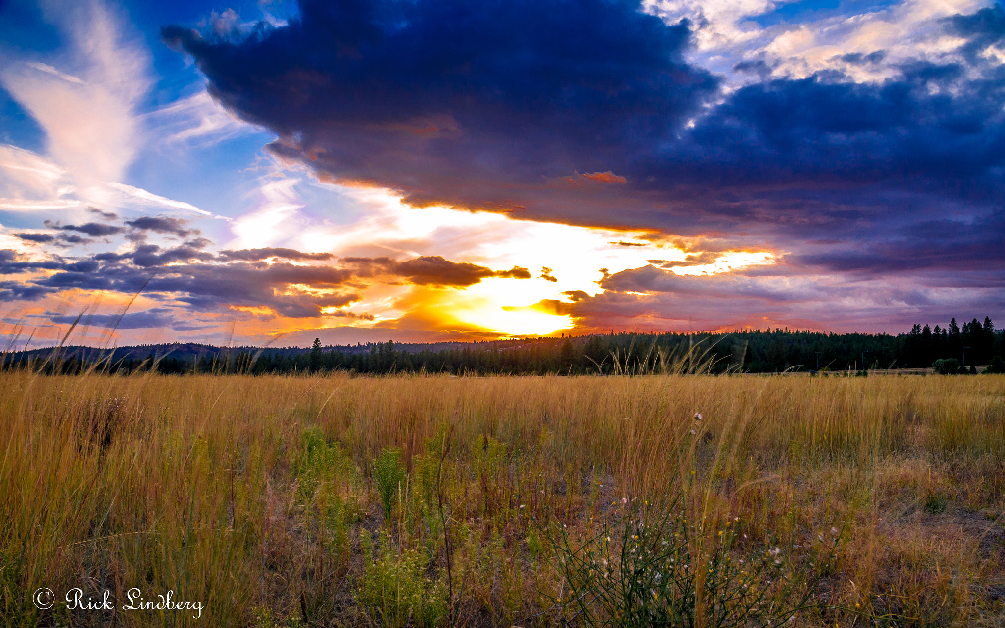 Pentax K-5 sample photo. Days end photography