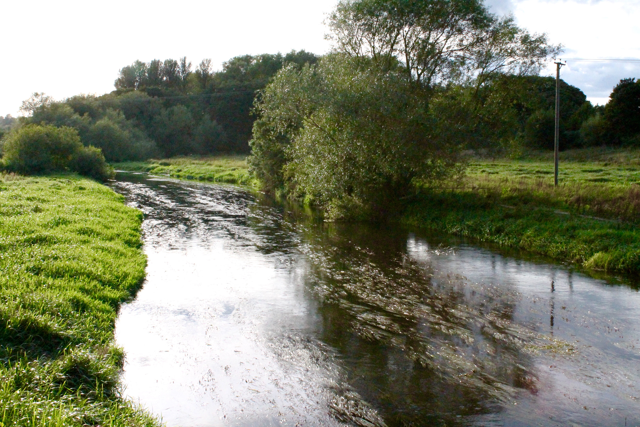 Canon EF-S 18-55mm F3.5-5.6 III sample photo. Heavily reed infested river trent at milford bridge photography