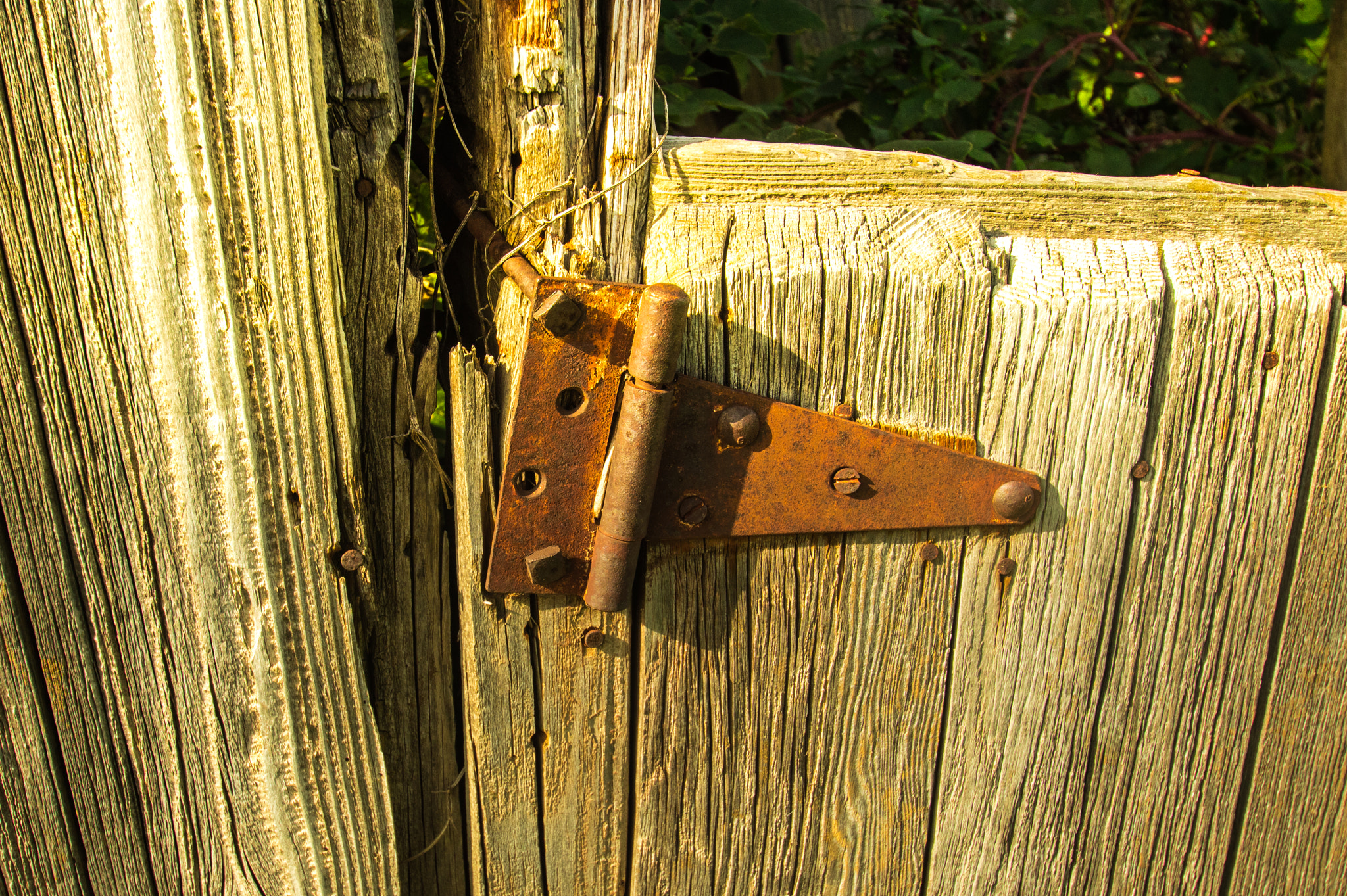 Canon EOS 760D (EOS Rebel T6s / EOS 8000D) sample photo. Rusty hinge on old barn photography