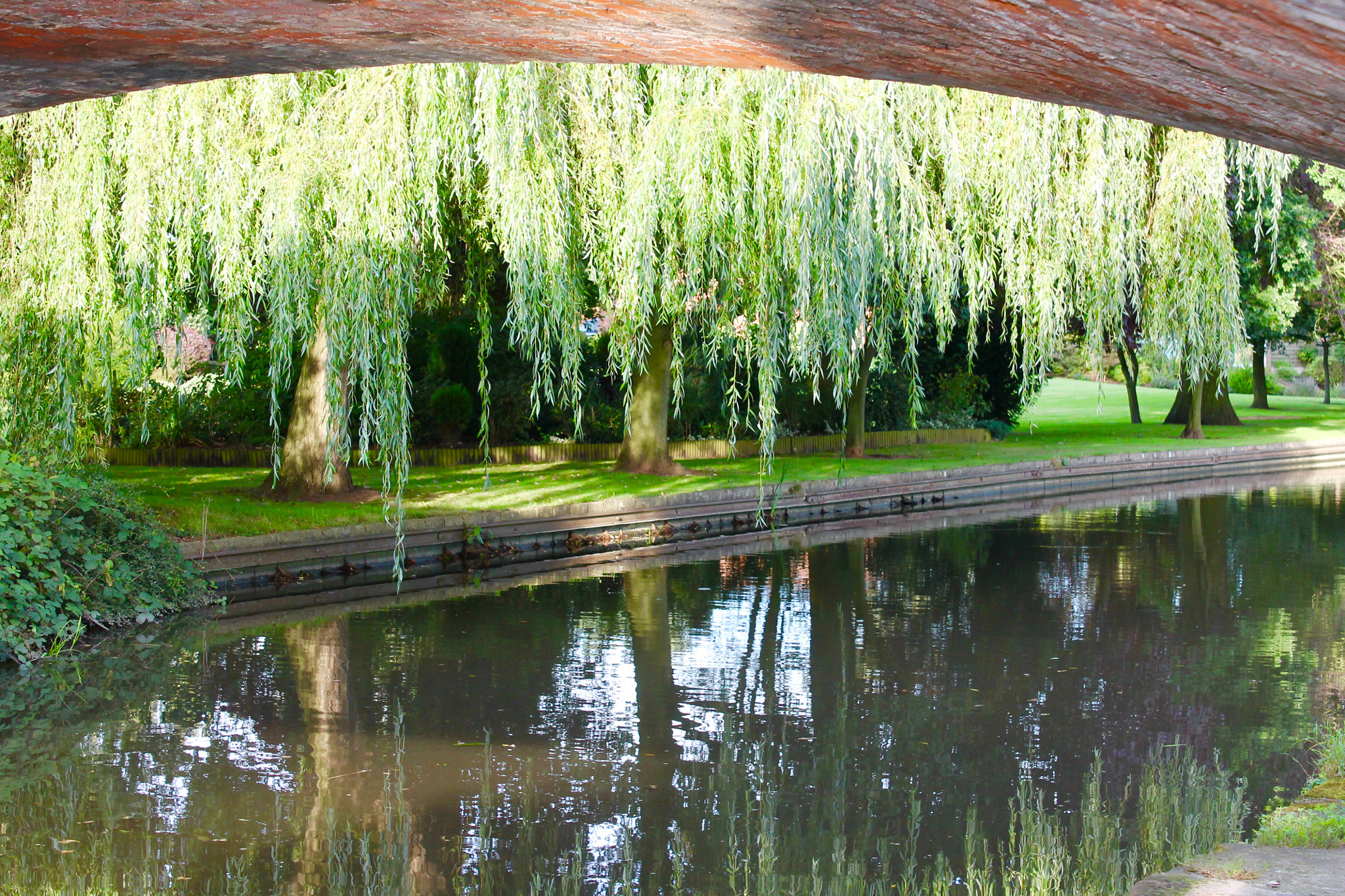 Canon EF-S 18-55mm F3.5-5.6 III sample photo. Tranquility of flat calm water and gently hanging  ... photography