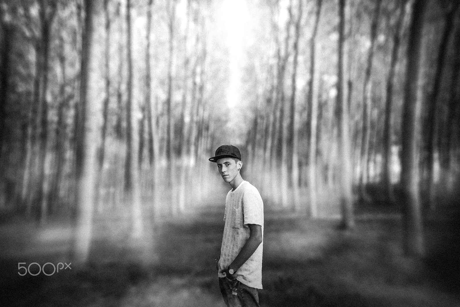 Canon EOS 50D sample photo. Sam photography