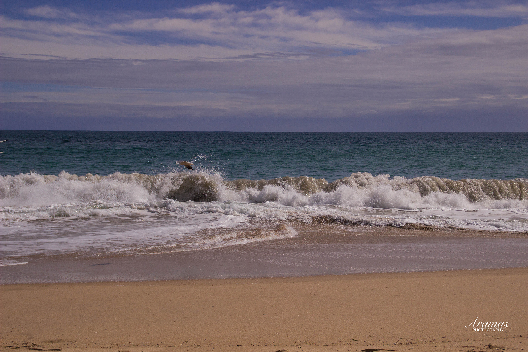 Canon EOS 600D (Rebel EOS T3i / EOS Kiss X5) sample photo. Preston beach photography