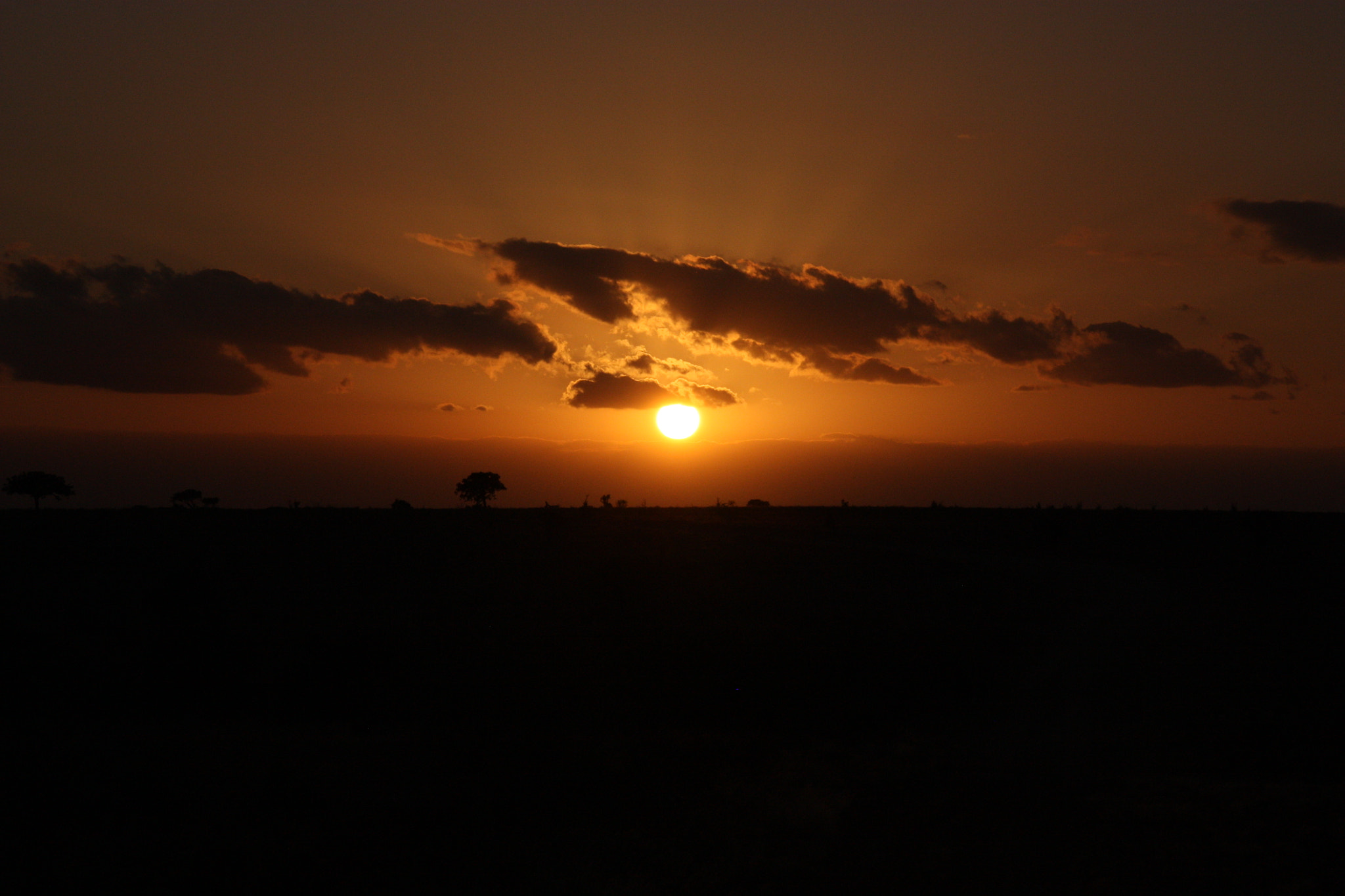 Sigma 18-200mm f/3.5-6.3 DC OS sample photo. Tramonto savana kenya photography