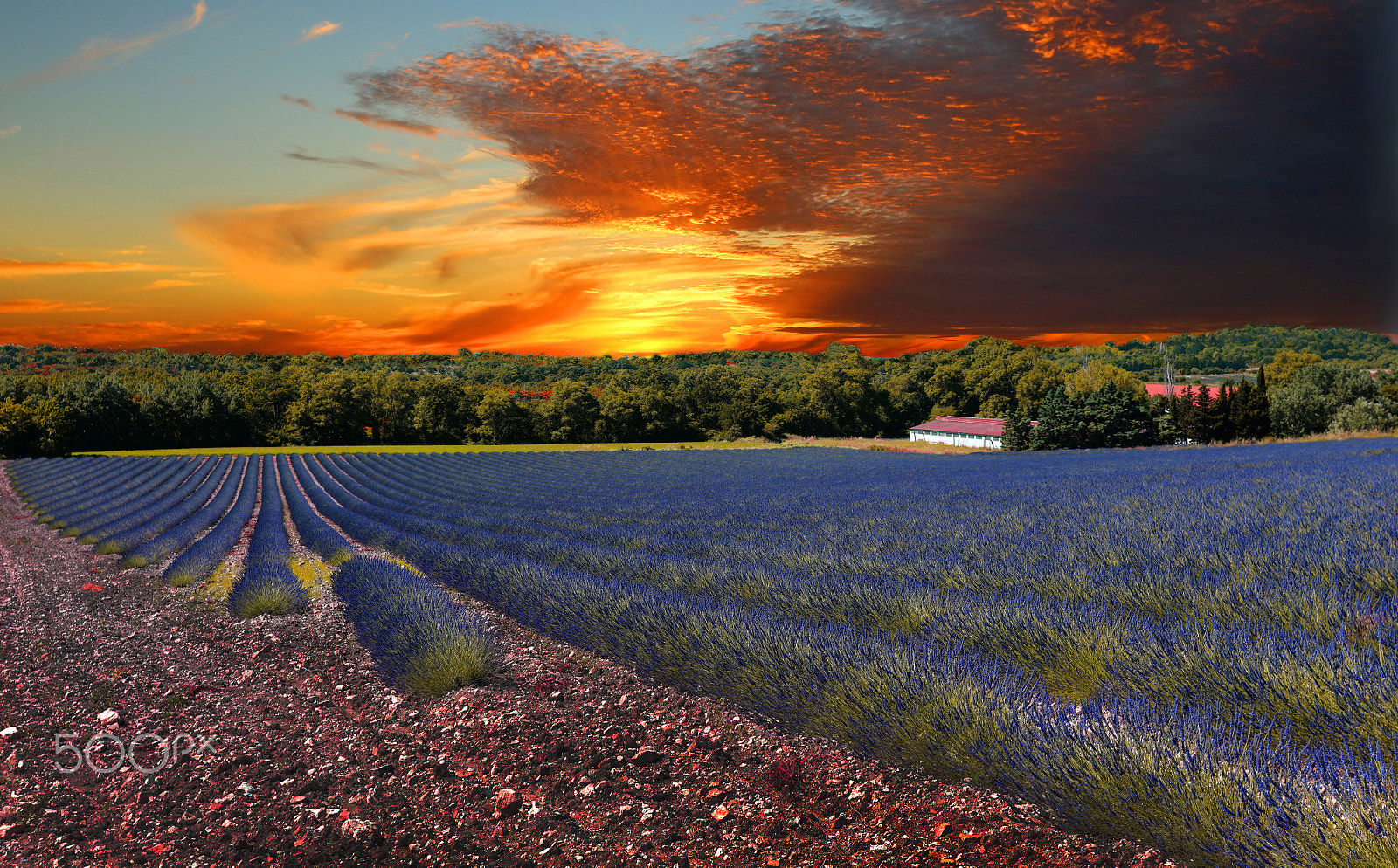 Canon EOS 5DS R + Canon EF 17-40mm F4L USM sample photo. Provence photography
