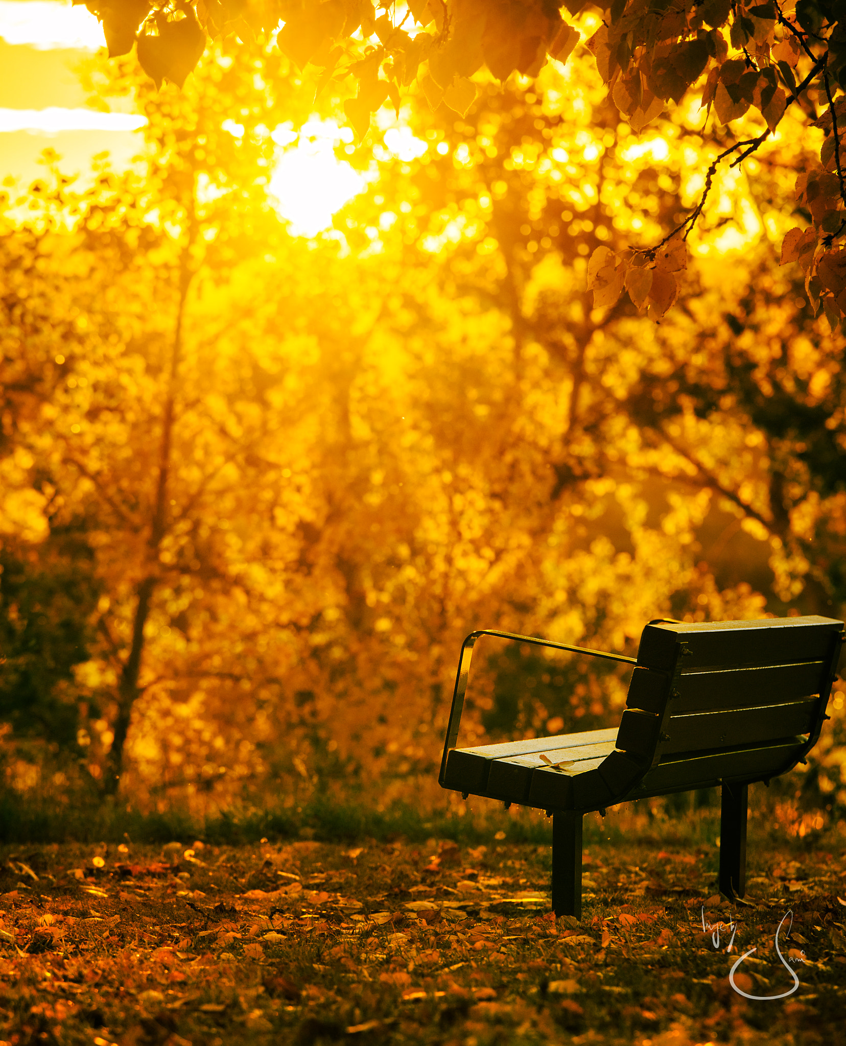 Sony a7 II + Canon EF 70-200mm F4L IS USM sample photo. Calm autumn sunset photography