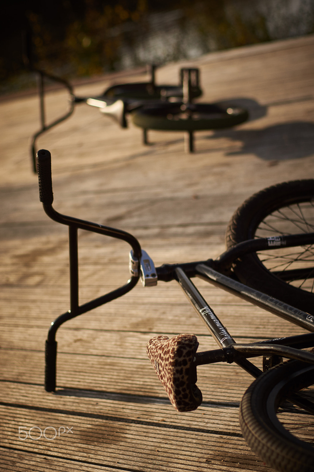 Sony SLT-A33 + Minolta AF 50mm F1.4 [New] sample photo. Bmx bikes photography