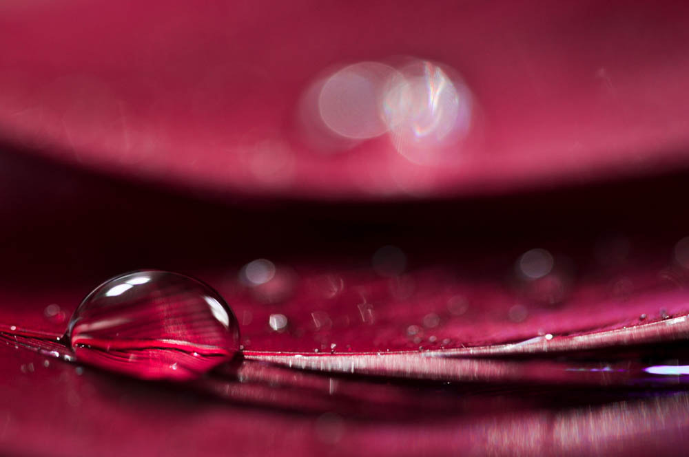 Nikon D5000 sample photo. Light photography