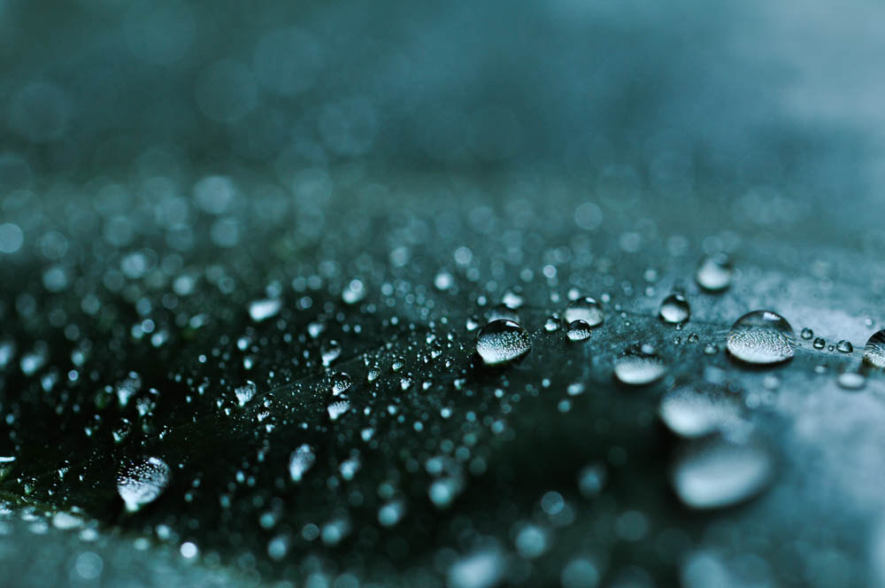 Nikon D5000 sample photo. Rain photography