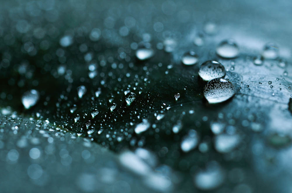 Nikon D5000 sample photo. Rain 2 photography