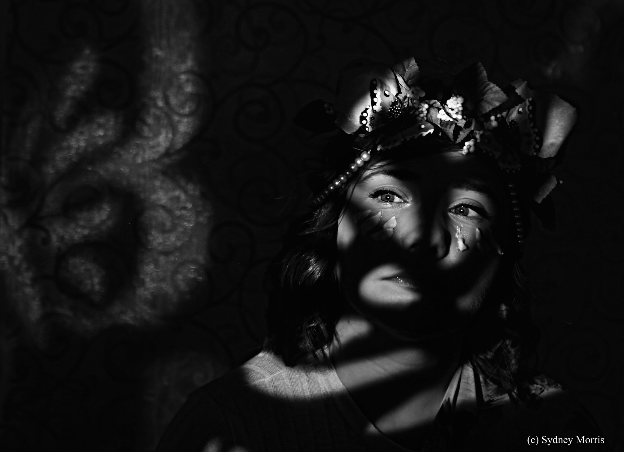 Canon EF 24-70mm F2.8L USM sample photo. Butterfly shadows photography