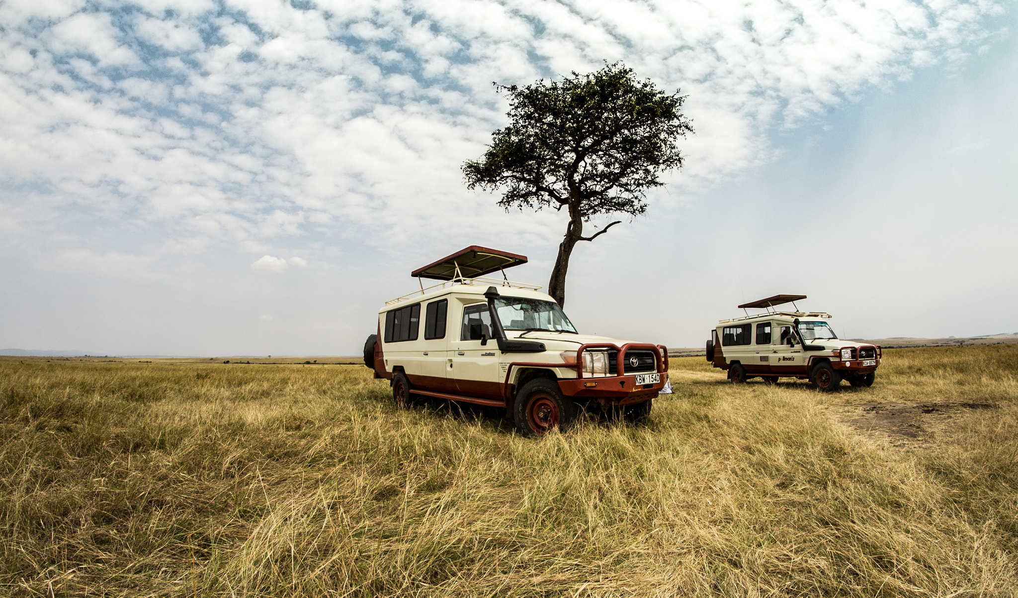 Samyang 8mm F3.5 Aspherical IF MC Fisheye sample photo. Lunch at masai mara photography