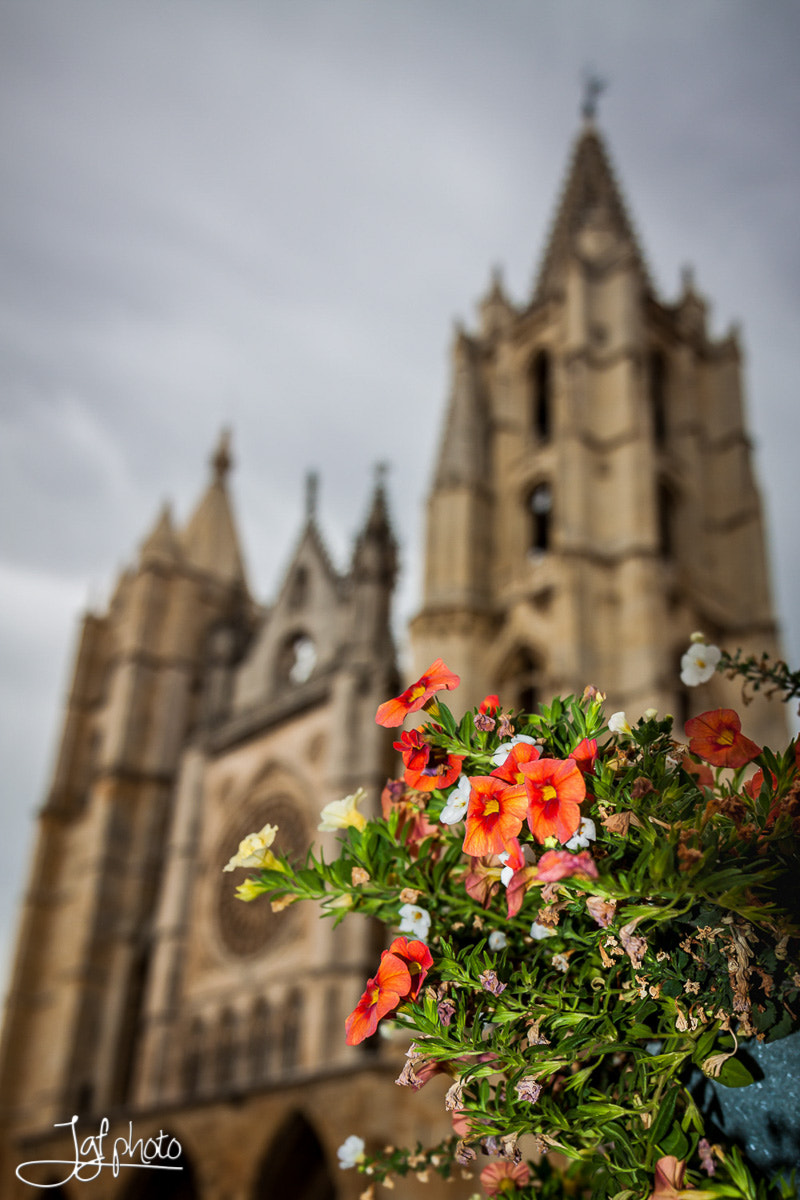 Canon EF 24-70mm F4L IS USM sample photo. León cathedral photography