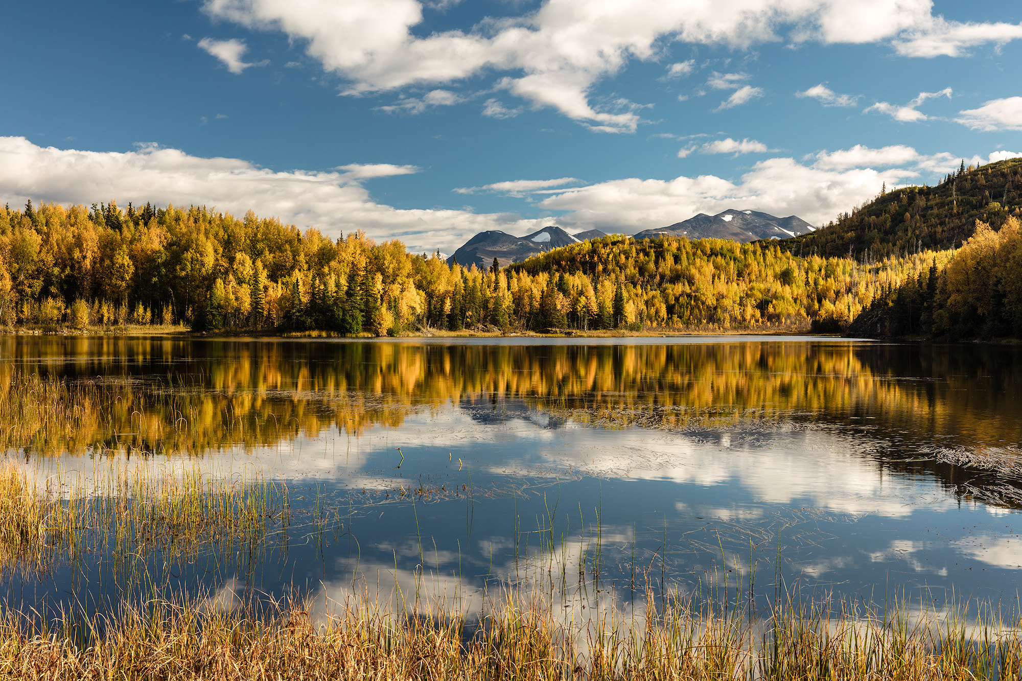 Sigma 50mm F1.4 EX DG HSM sample photo. Rock lake fall photography