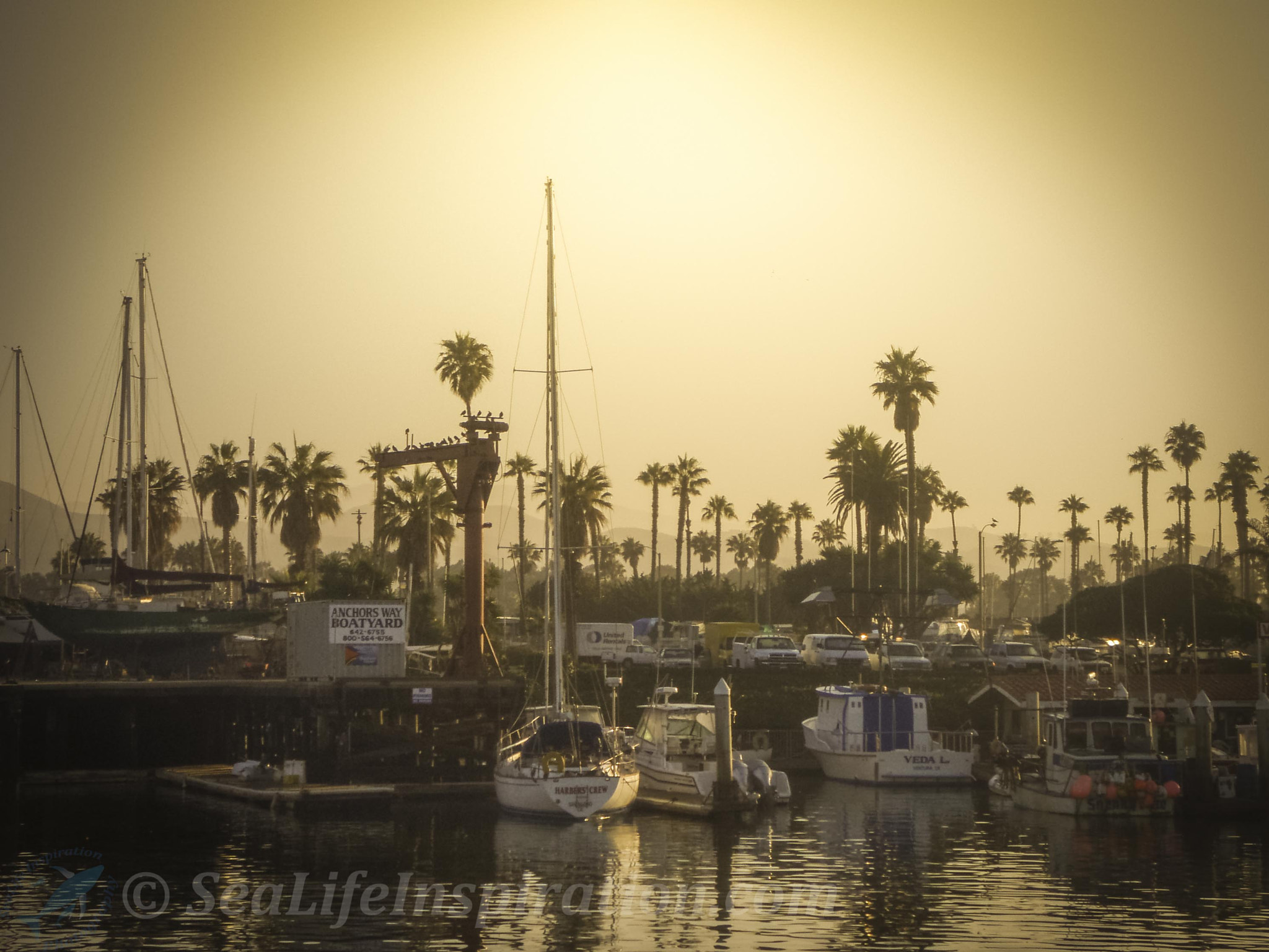 Olympus u770SW,S770SW sample photo. Ventura harbor sunrise photography