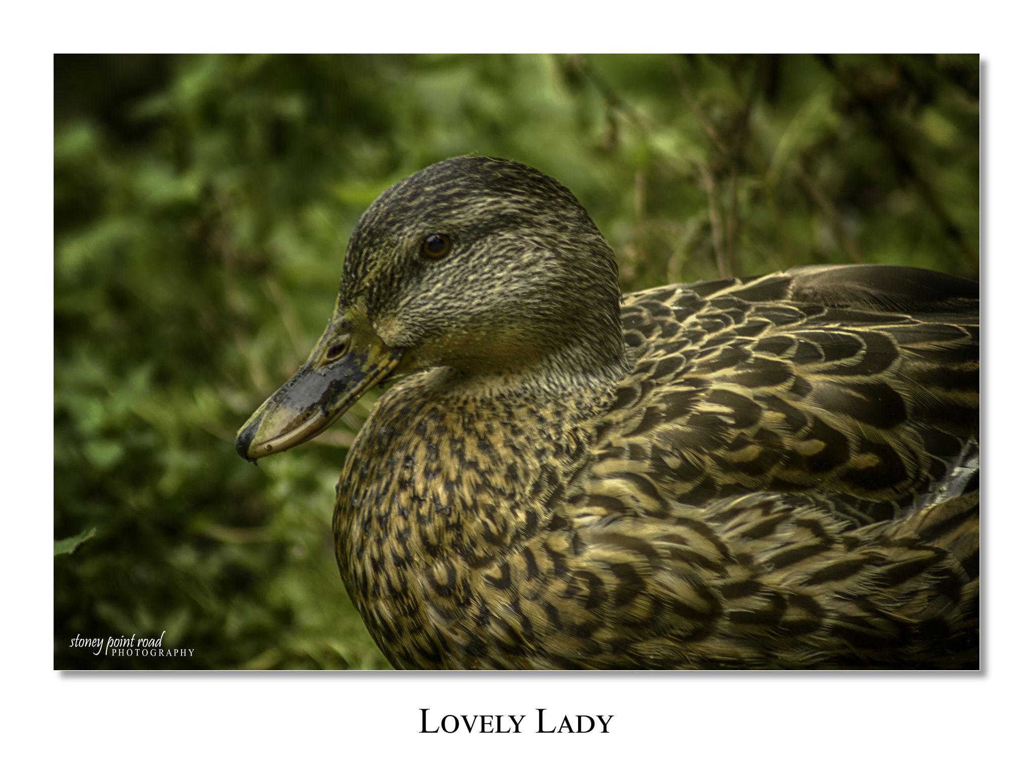 Canon EF 75-300mm f/4-5.6 USM sample photo. Lovely lady photography