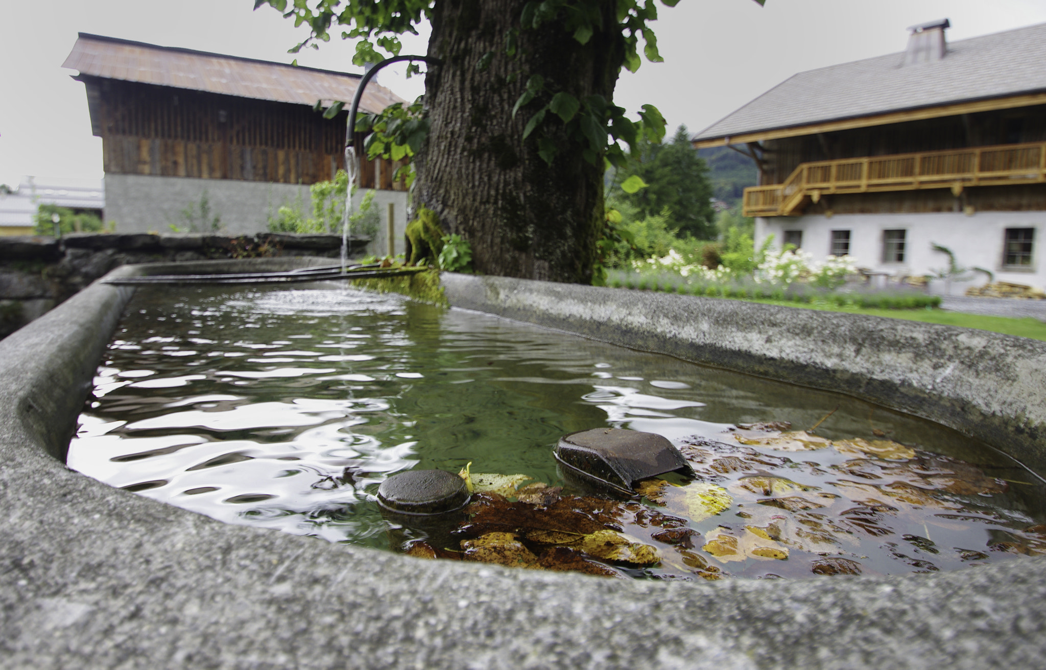 Pentax K-5 sample photo. Water trough photography
