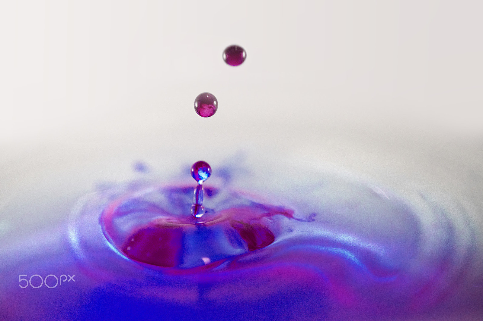 Nikon AF-S DX Micro Nikkor 40mm F2.8 sample photo. A splash of colour photography