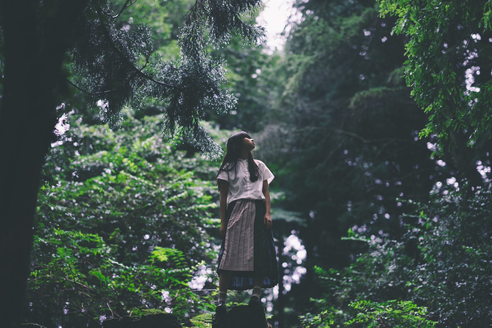 FE 85mm F0 sample photo. Untitled photography