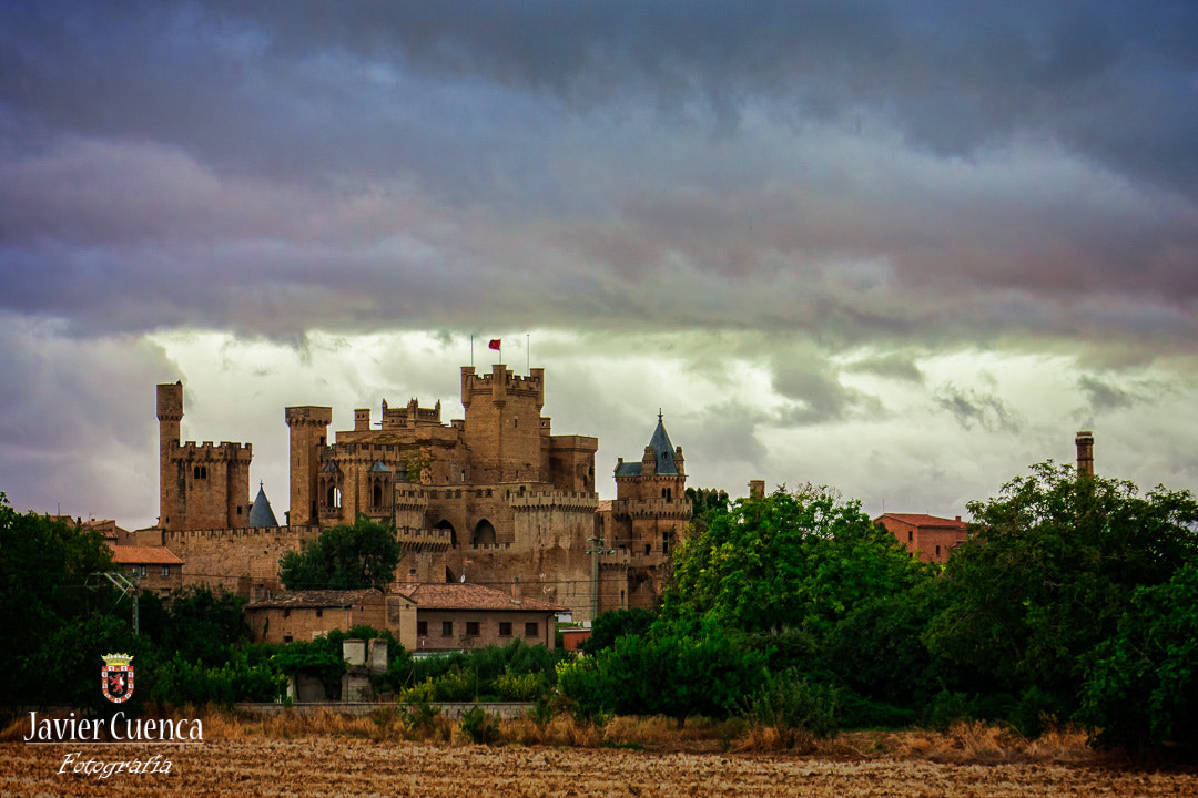 Canon EOS 40D sample photo. Palacio real de olite.navarra.españa. royal palace in olite.navarra.spain.﻿ photography