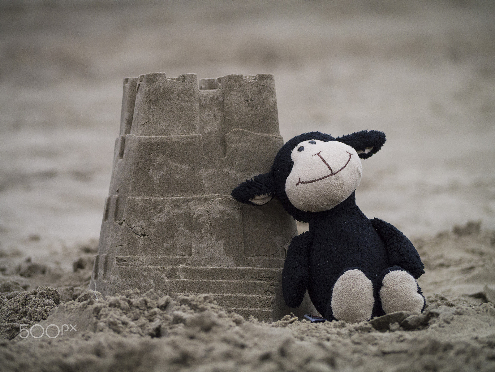 Panasonic Lumix G Vario 45-200mm F4-5.6 OIS sample photo. Castle construction photography