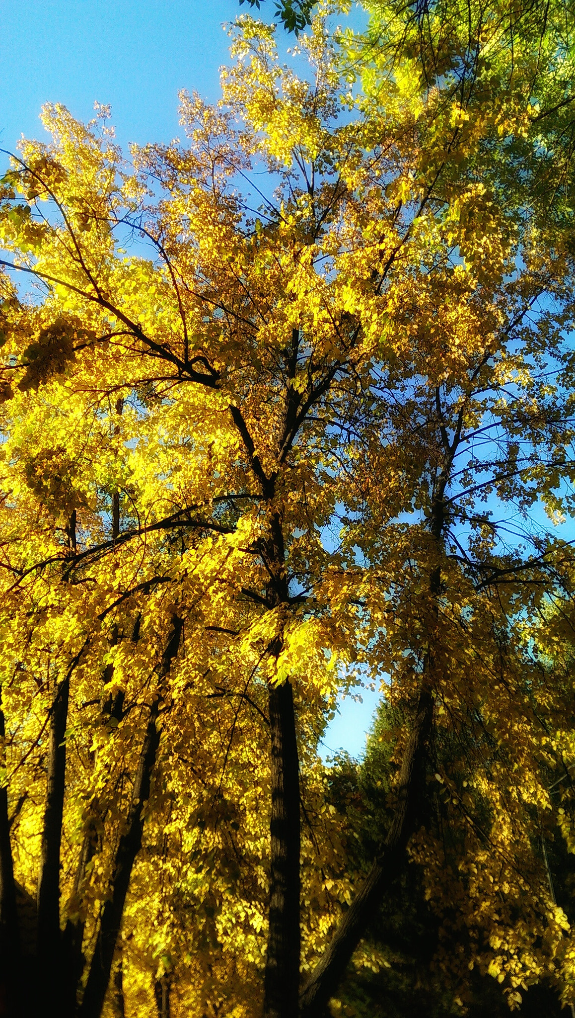 HTC ONE DUAL SIM sample photo