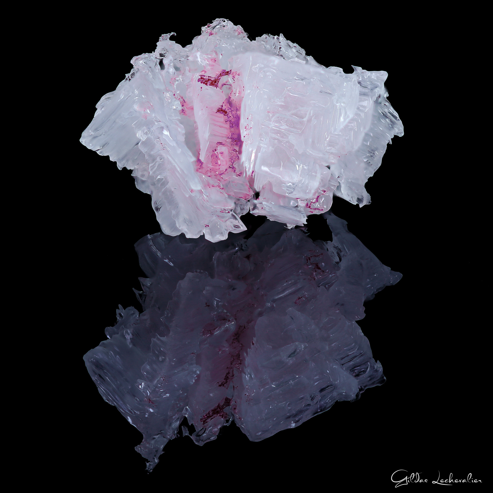Canon EF 100mm F2.8 Macro USM sample photo. Halite photography
