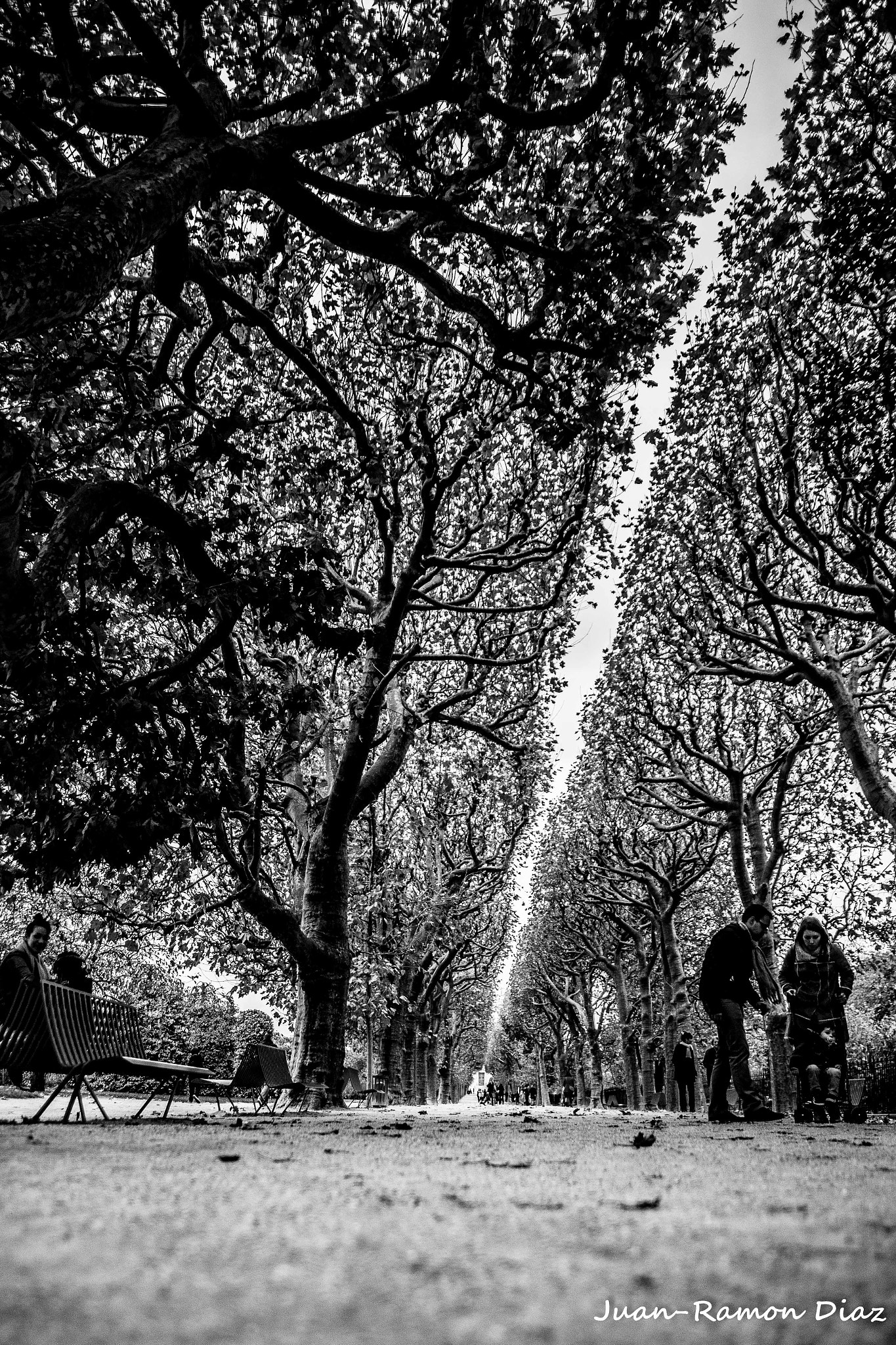 Sony Alpha DSLR-A850 + 24-70mm F2.8 sample photo. Paris jardin des plantes photography