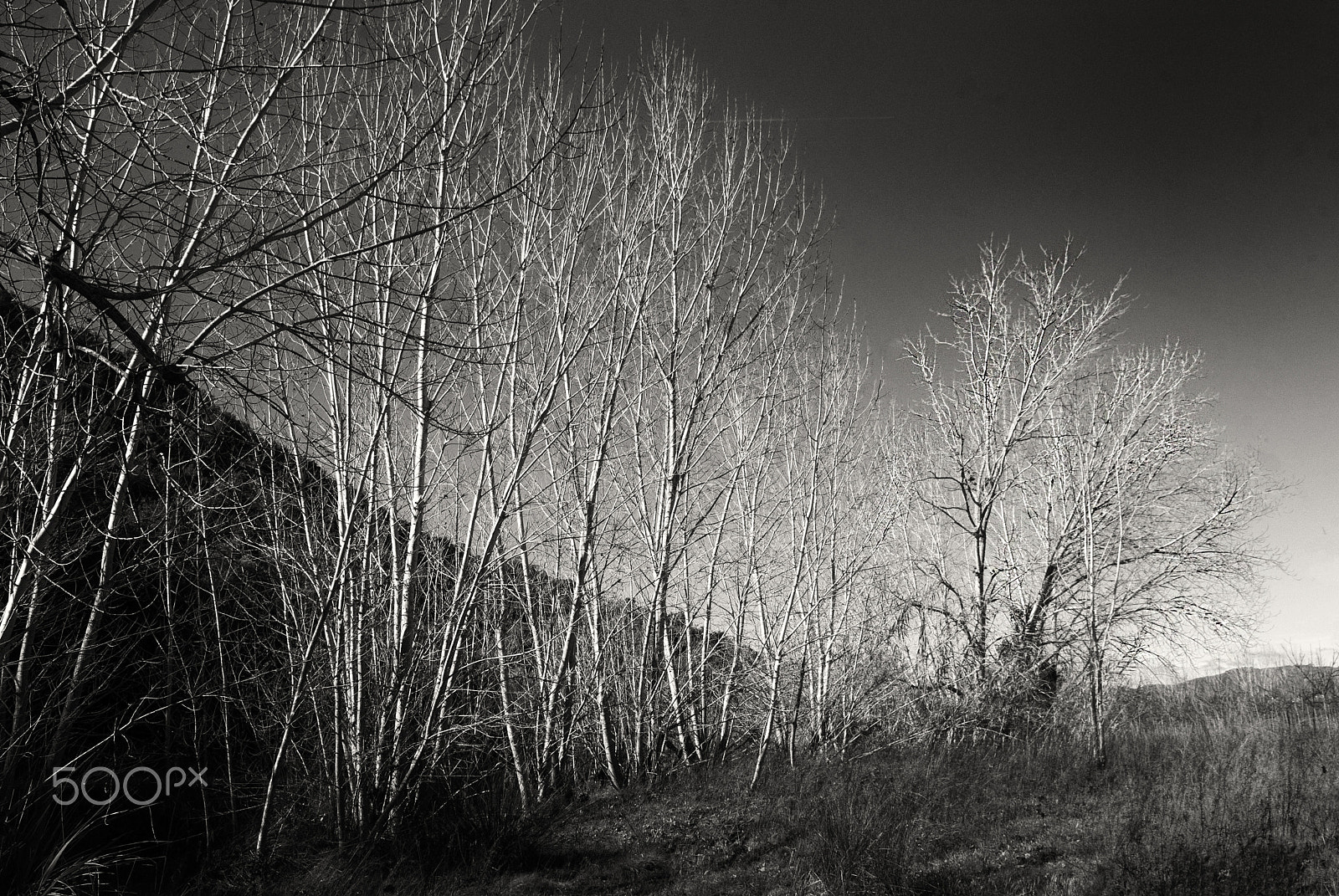 Nikon D200 sample photo. It's autumn photography