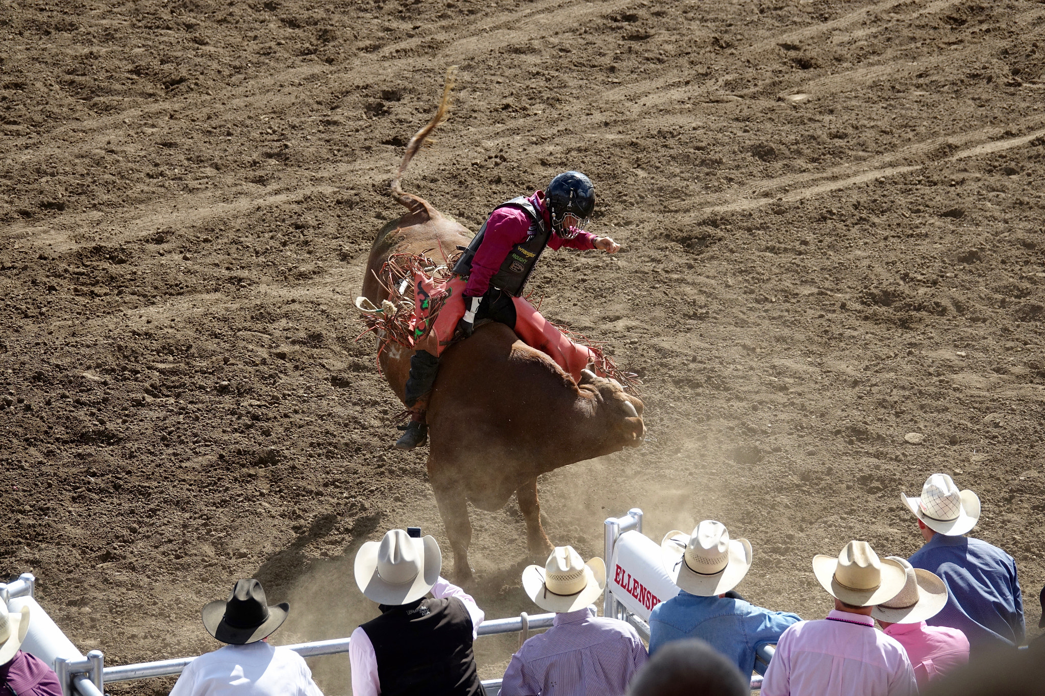 Sony 24-600mm F2.4-4.0 sample photo. Hang on photography