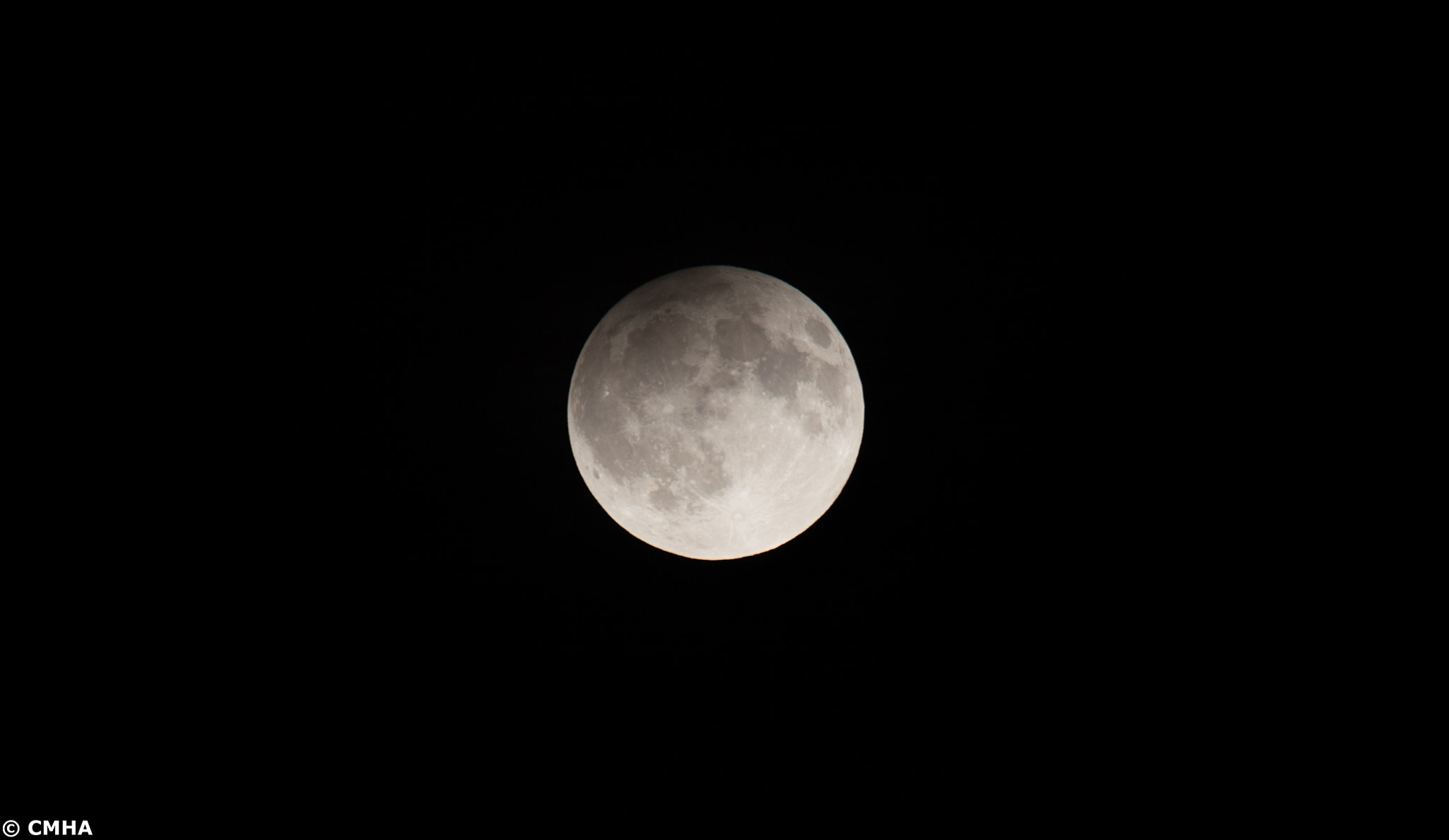 Sigma 150-600mm F5-6.3 DG OS HSM | C sample photo. Luna llena photography