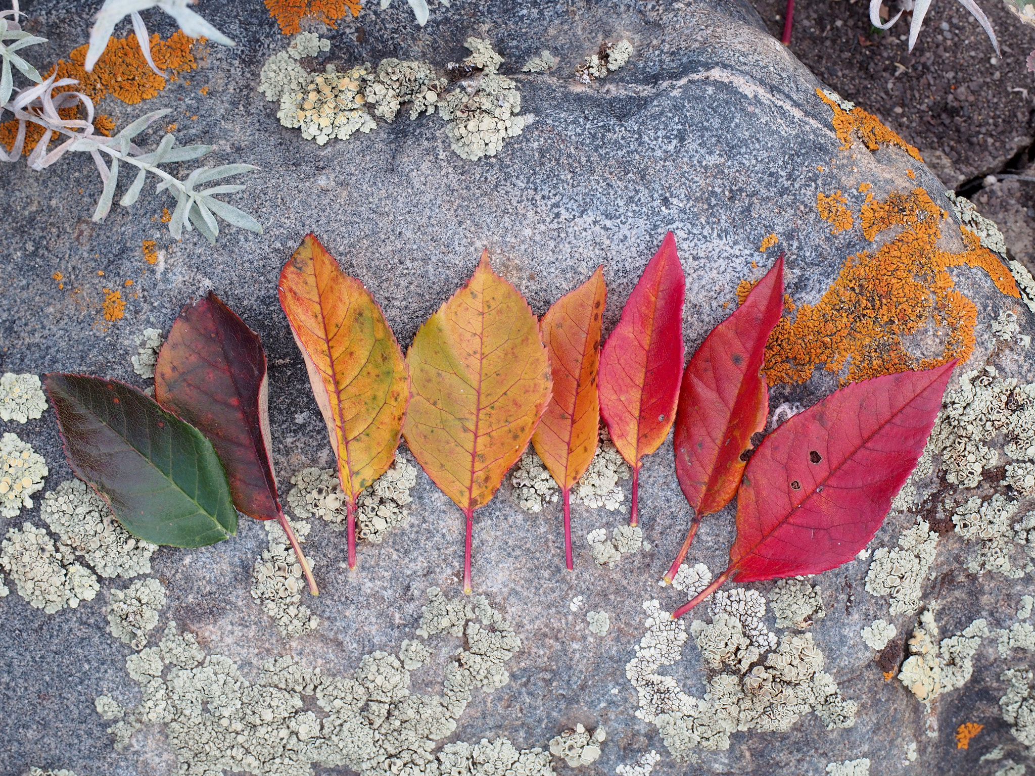 Olympus PEN E-PM2 sample photo. Fall on the rocks photography