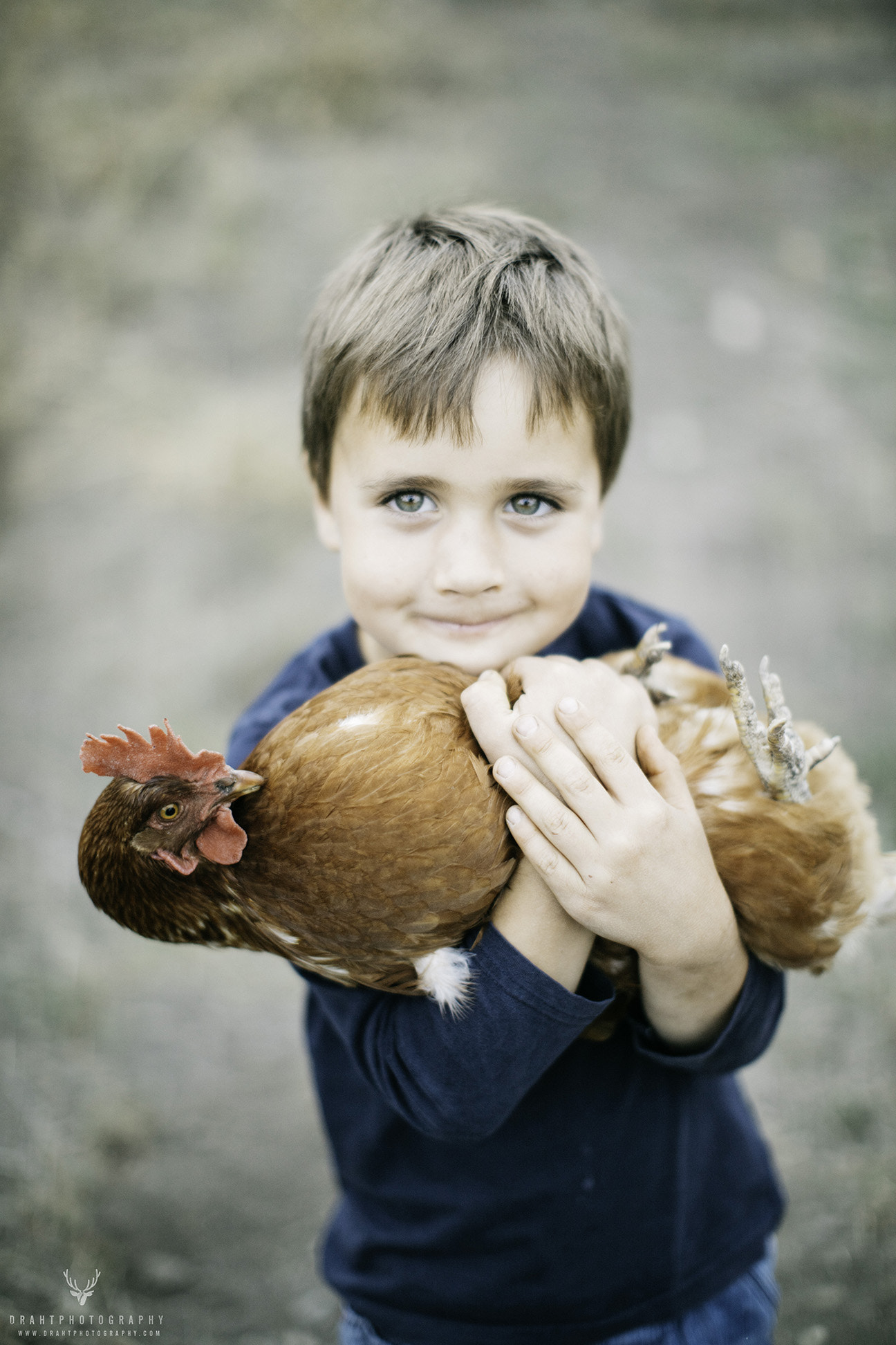 Canon EOS 5DS + Canon EF 50mm F1.2L USM sample photo. His favourite chicken photography