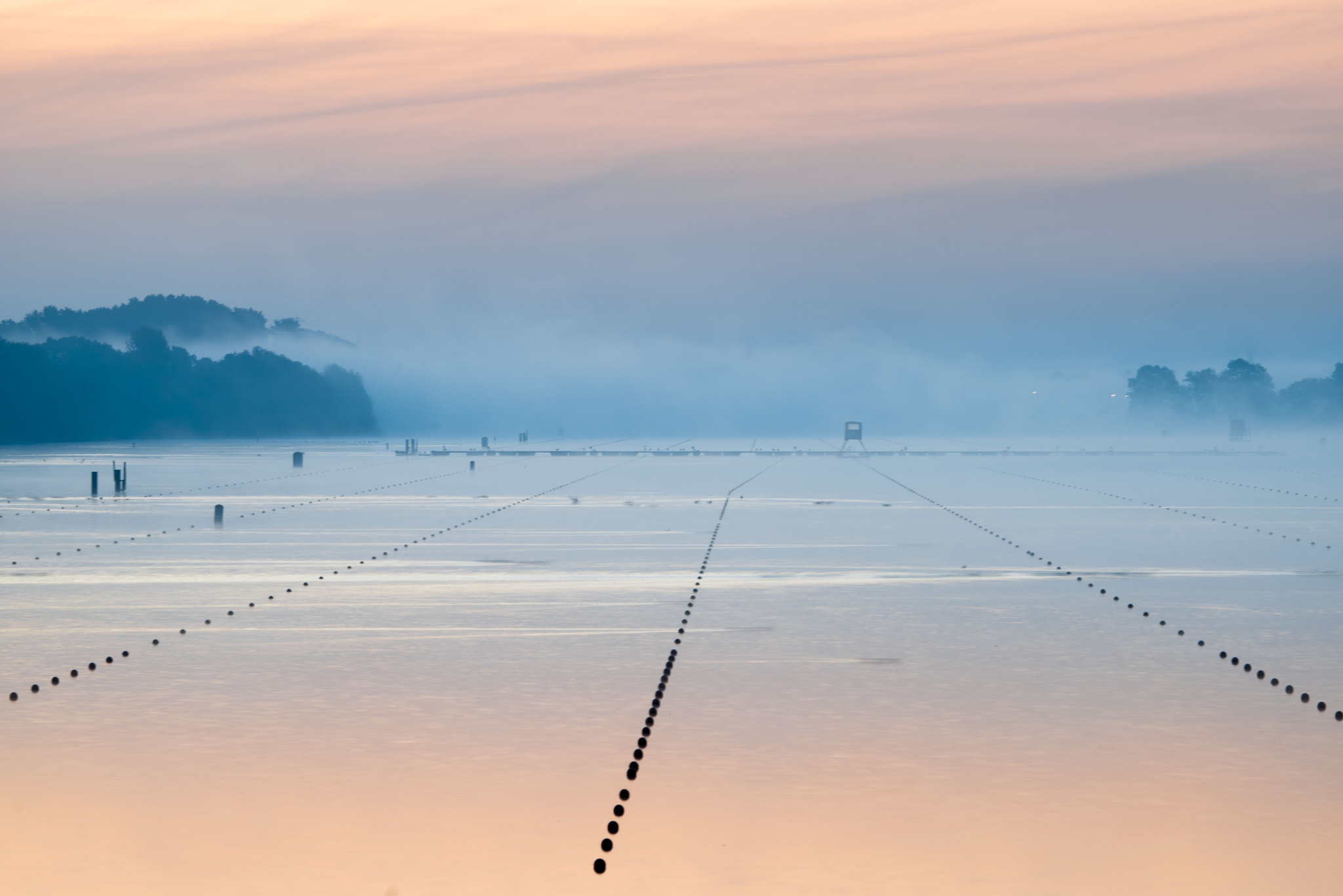 Canon EF 100-400mm F4.5-5.6L IS USM sample photo. Thefog photography