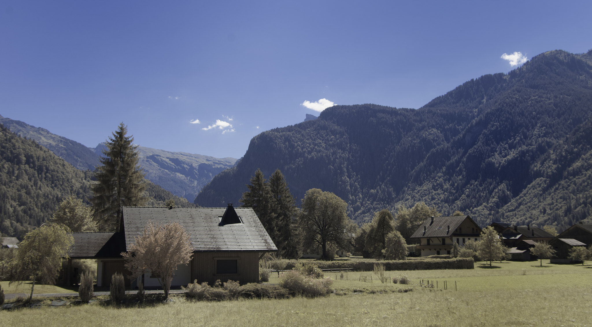 Pentax K20D sample photo. Ir morning photography