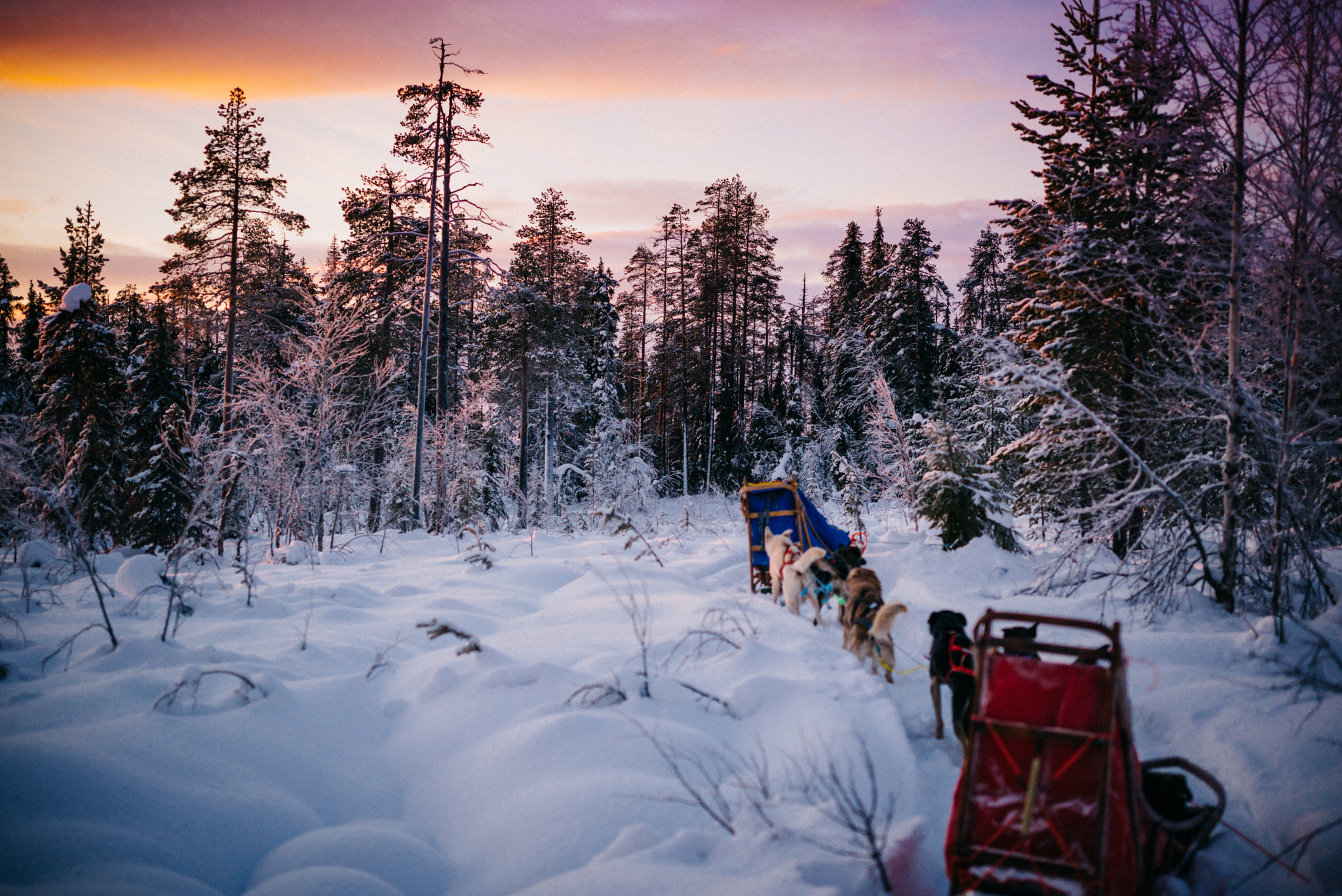 Leica APO-Summicron-M 50mm F2 ASPH sample photo. Sledding at sunset photography