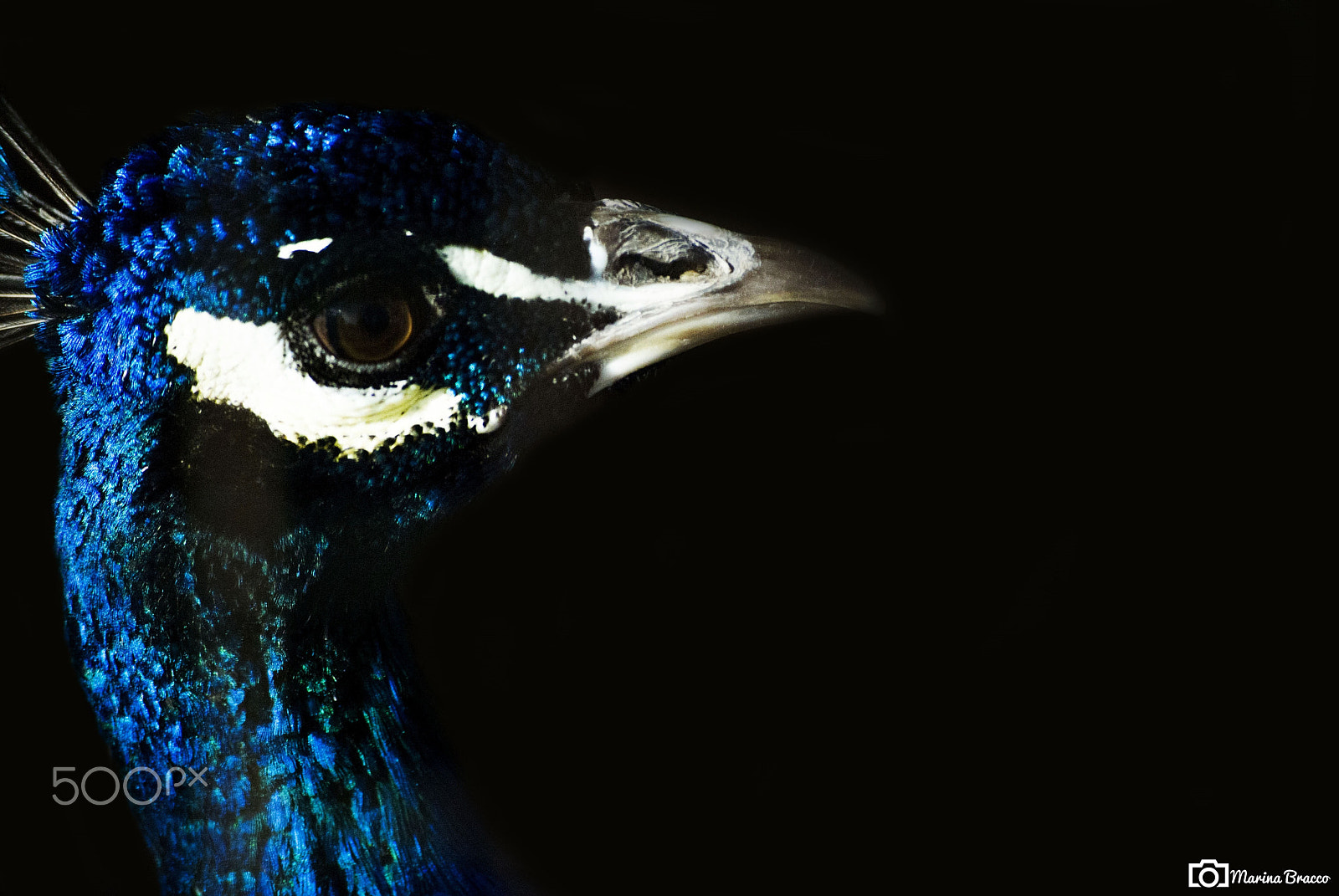Nikon D3000 sample photo. In the dark photography