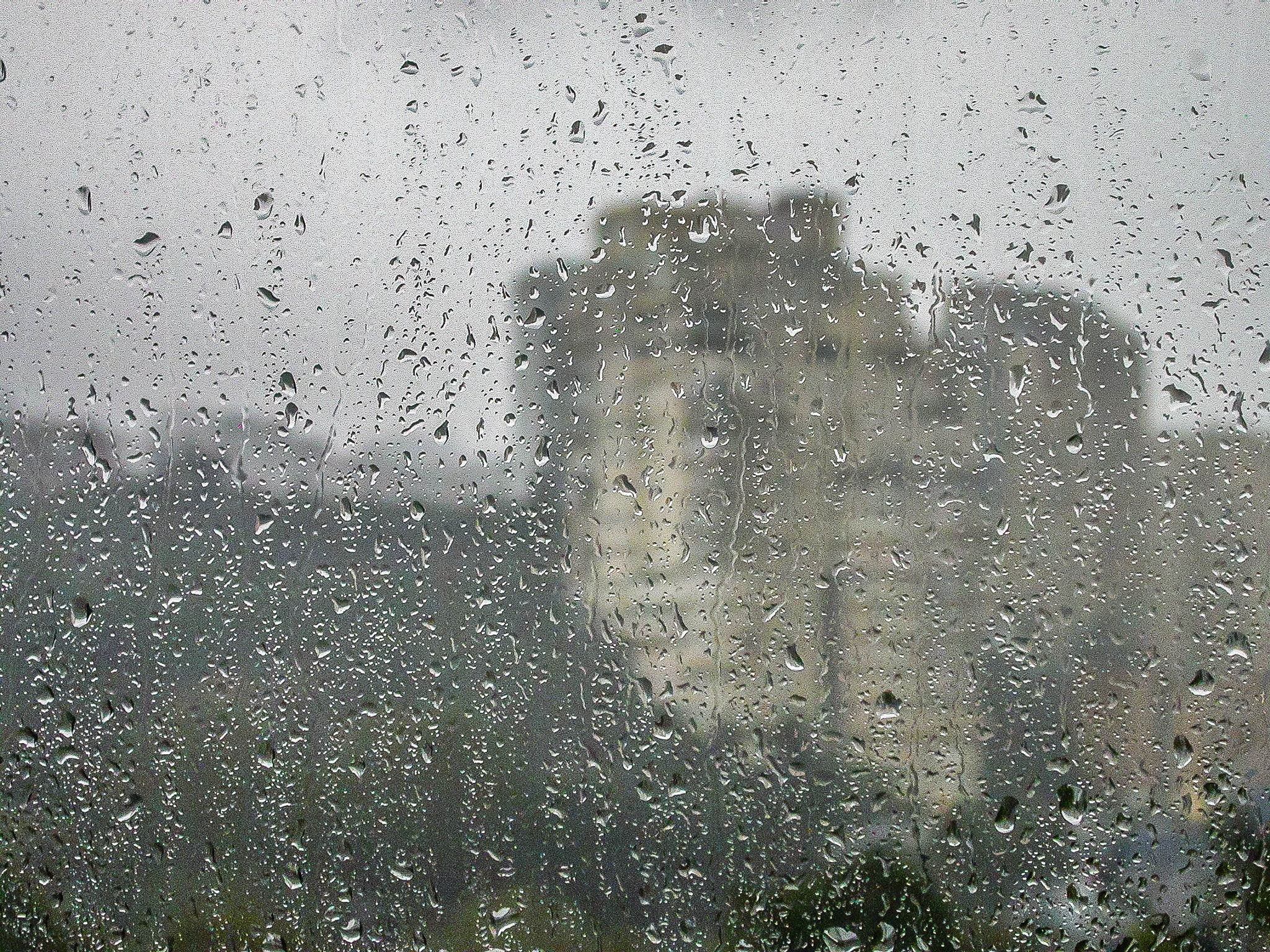 Nikon E4500 sample photo. Rain photography