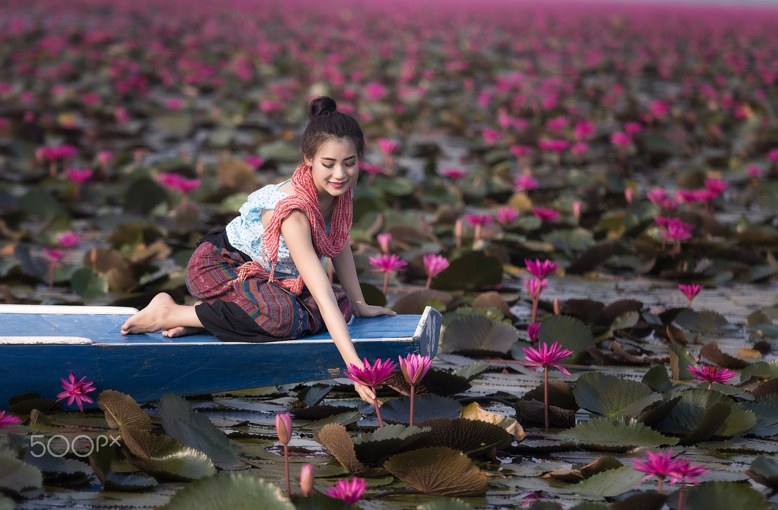 Canon EOS 70D + Sigma 70-200mm F2.8 EX DG OS HSM sample photo. Lotus gardens. photography